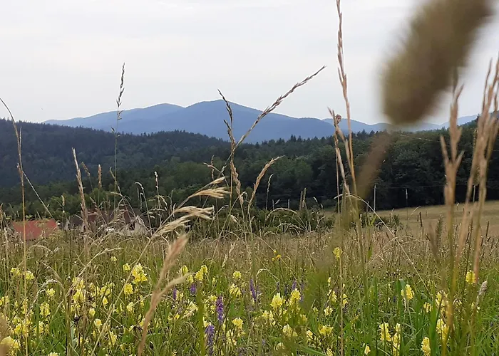 Agroturystyka Pod Zlota Wiecha