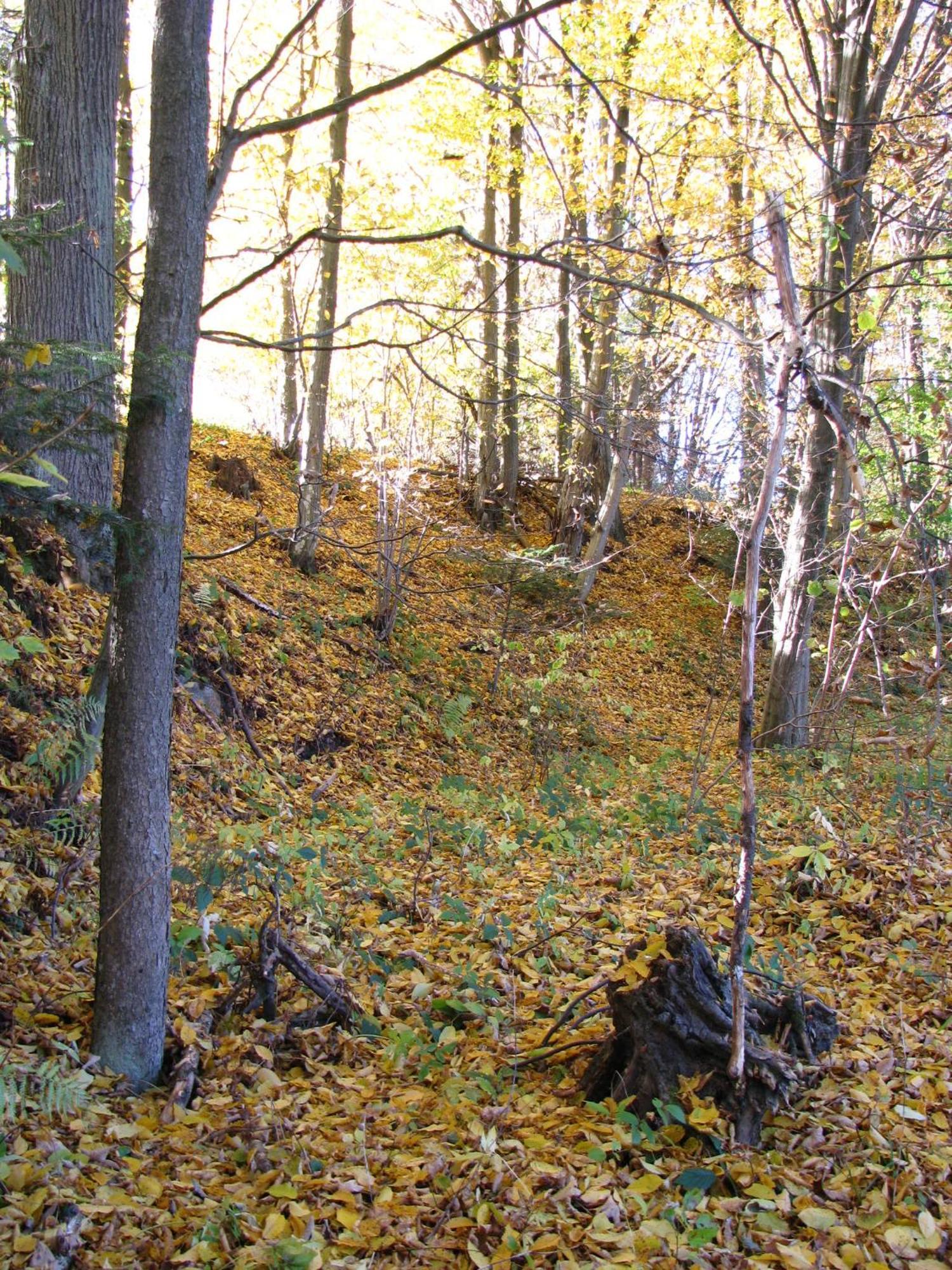Pod Zlota Wiecha Farm stay *